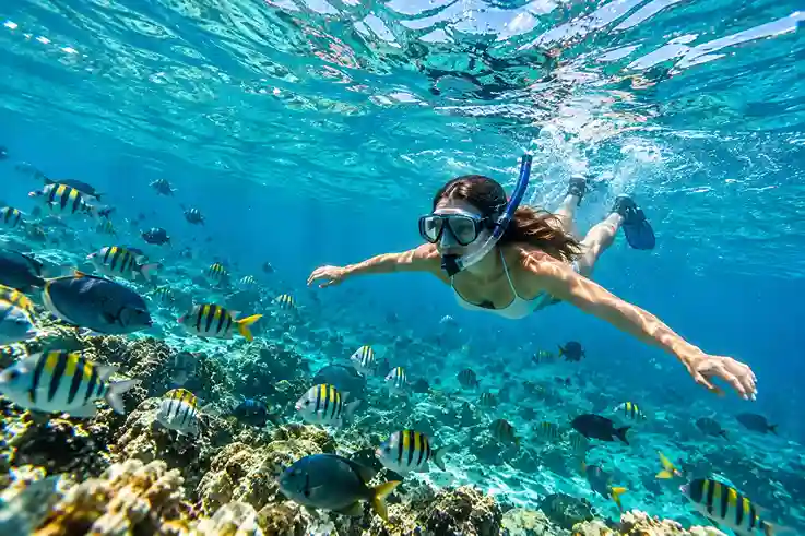 Snorkeling & Water Activities