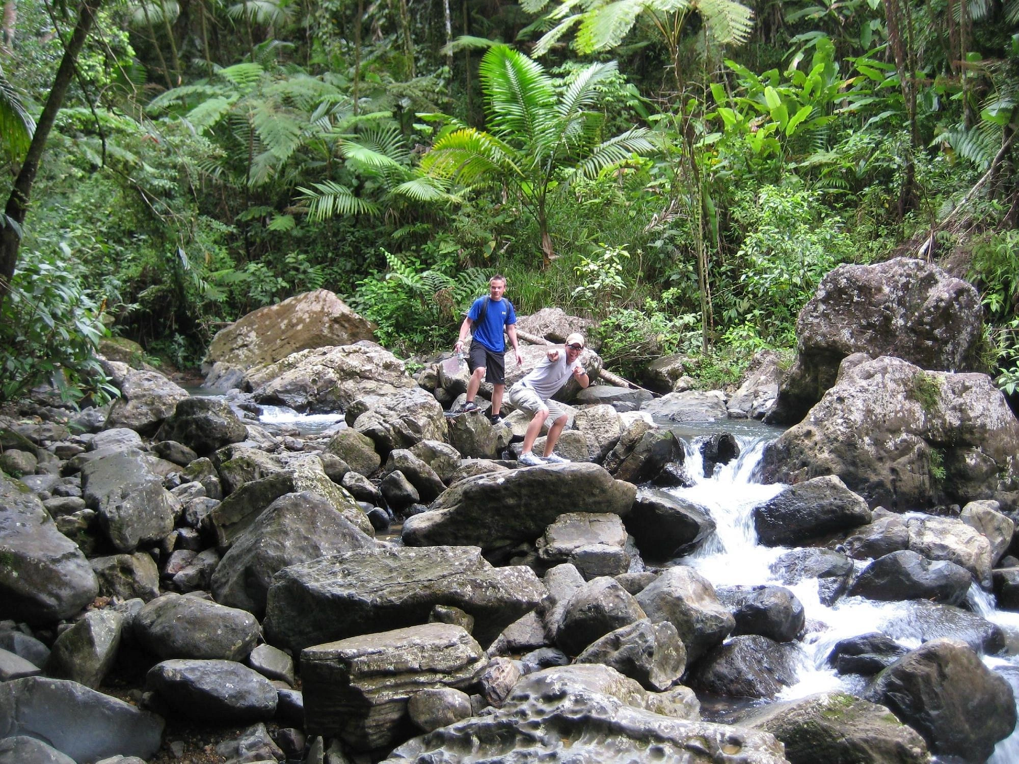 El Yunque National Forest