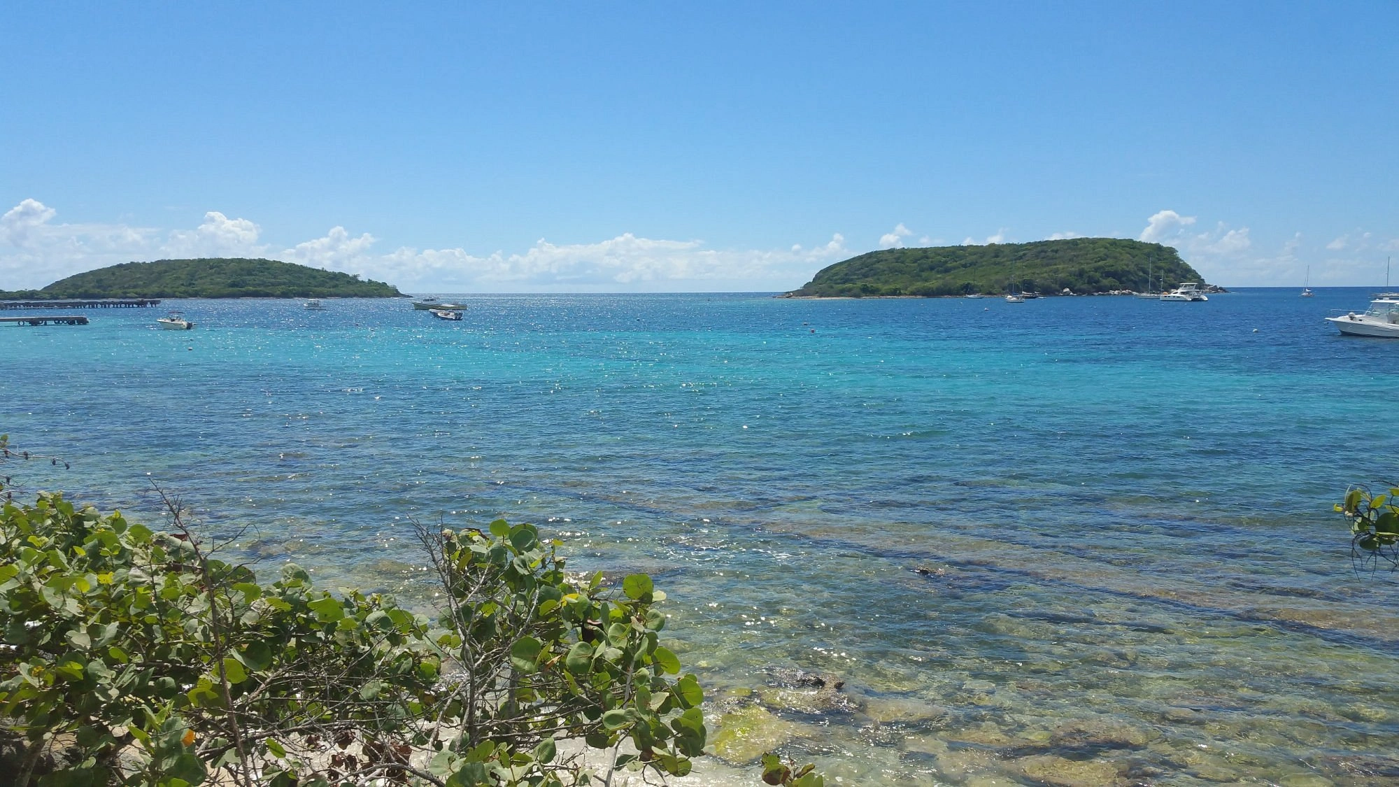 Vieques & Mosquito Bay