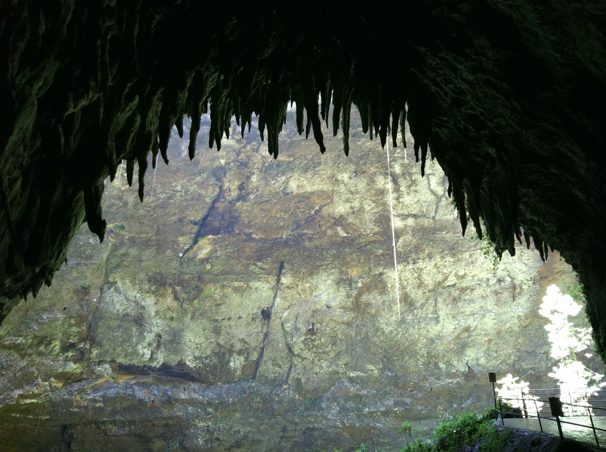 Río Camuy Cave Park