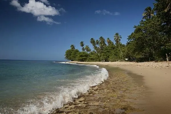 Steps Beach & Tres Palmas Marine Reserve