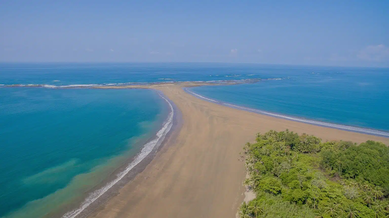 Bahía de la Ballena