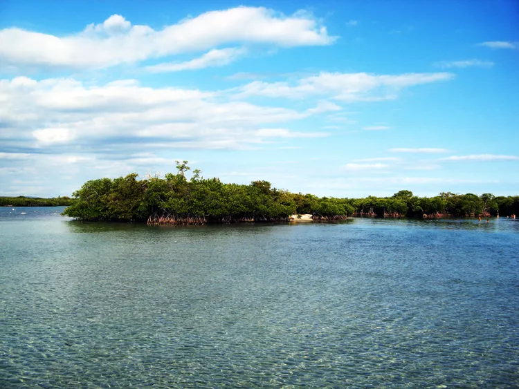 Cayo Aurora (Gilligan’s Island)