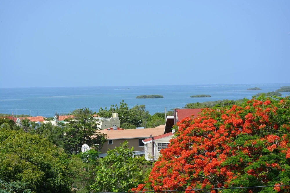 La Parguera
